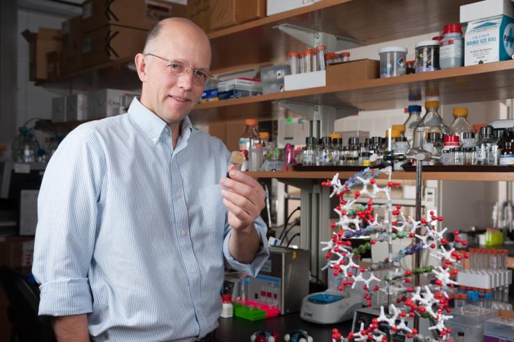 <p>Professor Nicholas Hud holds a vial containing synthesized molecules that spontaneously assemble into structures that resemble the helical structure of DNA (model in foreground).</p>