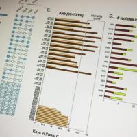 <p>Using advanced metagenomics techniques, researchers have found that conventional culture- based lab tests may often misdiagnose the microbial causes of diarrheal diseases in children. The study, based on samples from Ecuadorian children, also found that a common strain of the E. coli bacterium may be more virulent than previously believed.</p>