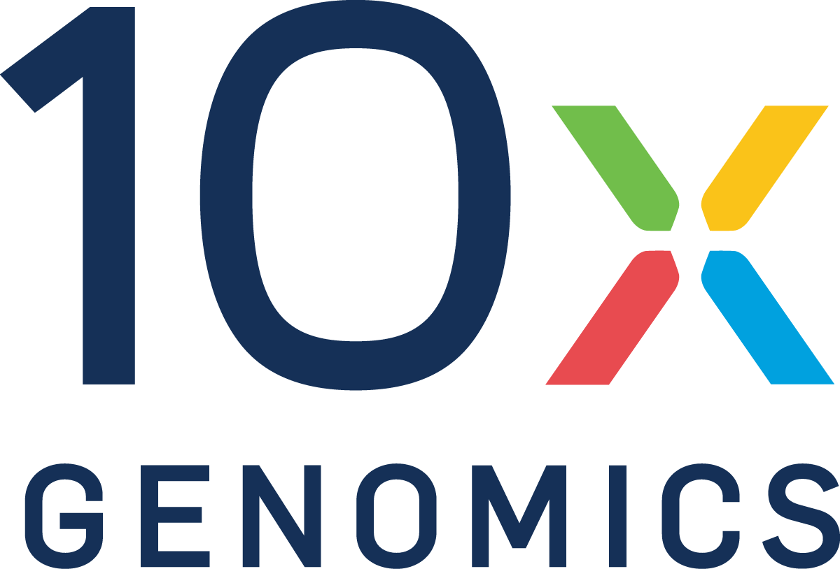 10 x logo