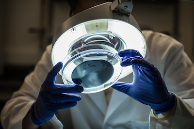 A laboratory scientist examining a disk under an magnifying light