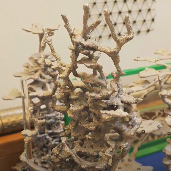 Ant hill cast in molten aluminum to show intricate underground structure of tunnels and chambers, much like the branches of coral.