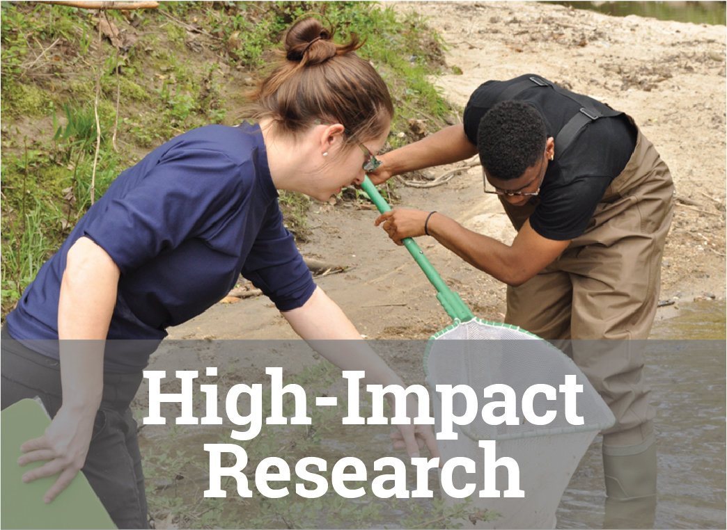 A professor guides her student in some field research in a creek bed.