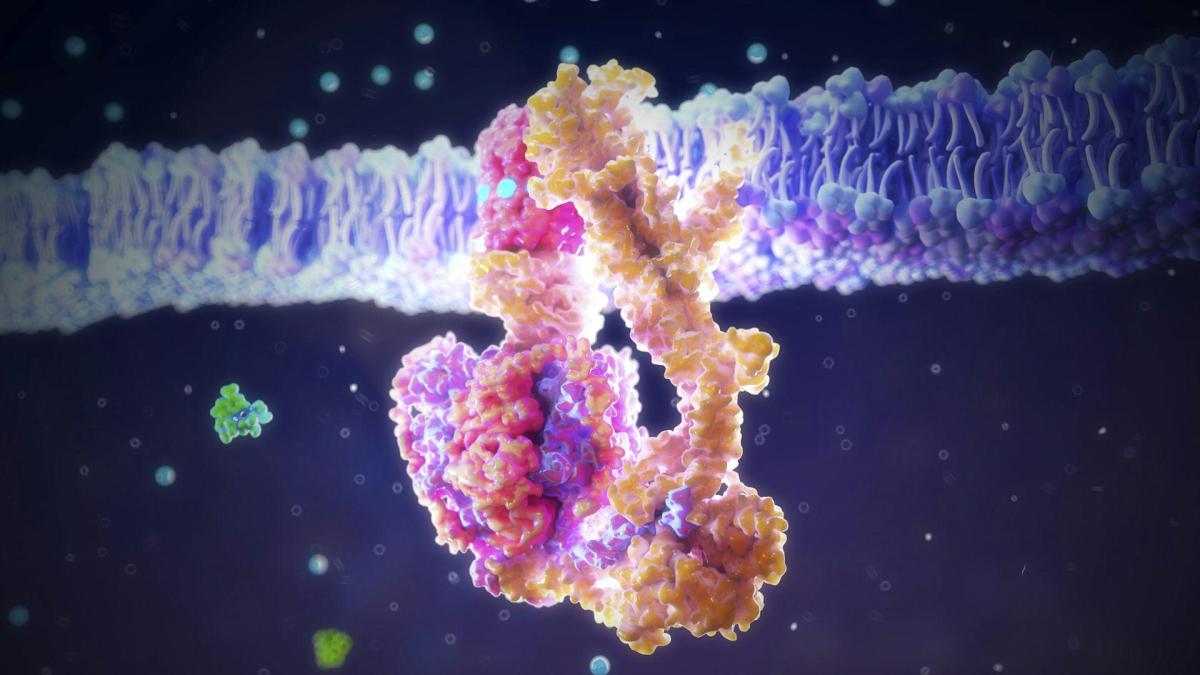 Molecular ‘Fossils’ Offer Microscopic Clues to the Origins of Life – But They Take Care t…