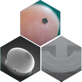 image of microchip and other objects at the nanoscale