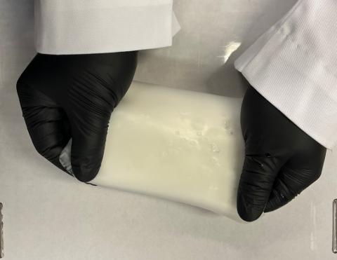 A researcher holds a sheet of stretchy polymer that can serve as a solid-state electrolyte in batteries.