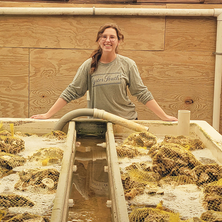 Sarah Roney oversees nursery troughs in the UGA Shellfish Research Lab filled with young oysters growing on shells recycled from restaurants all over Georgia.