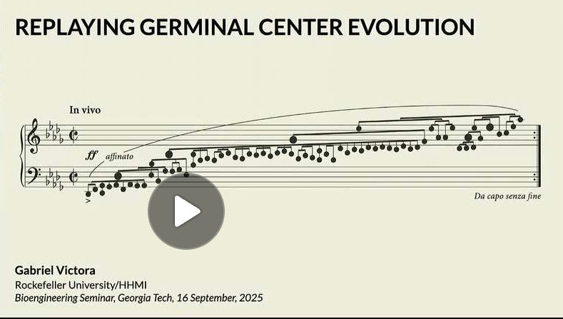 Gabriel D. Victora BioE Seminar