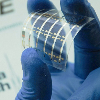 The blue gloved hand of a researcher holds a flexible plastic optical component