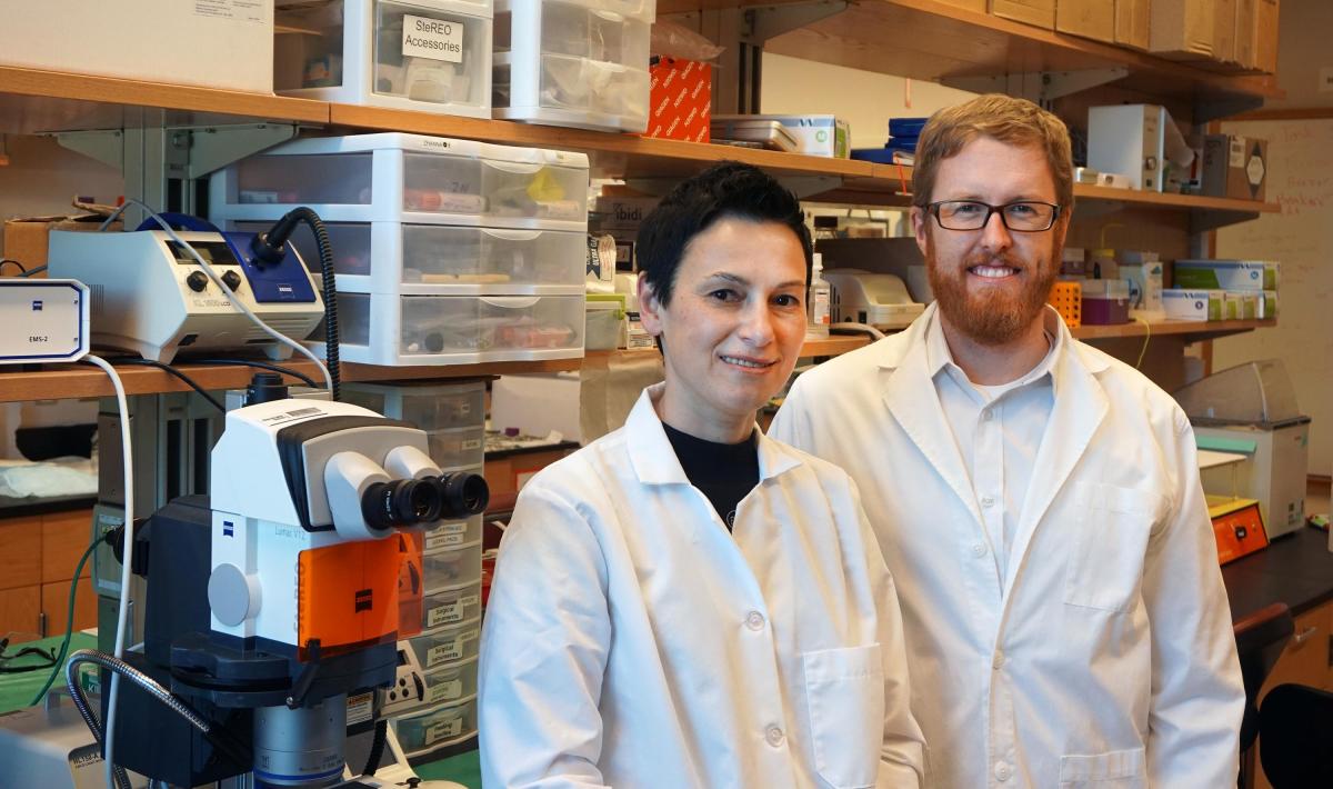 Research Partnership Expands to Address Lymphatic Injury