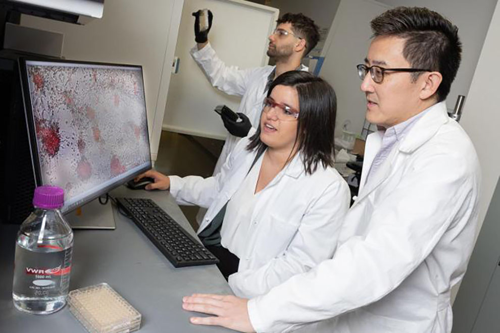 people working in a research lab looking at a caner cell on a computer screen