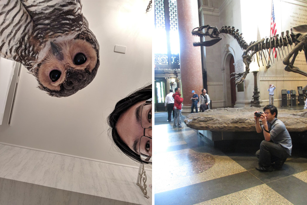 photo composite with a man and an owl on the left and a man squatting while taking a photograph in a museum with dinosaur bones in background on the right