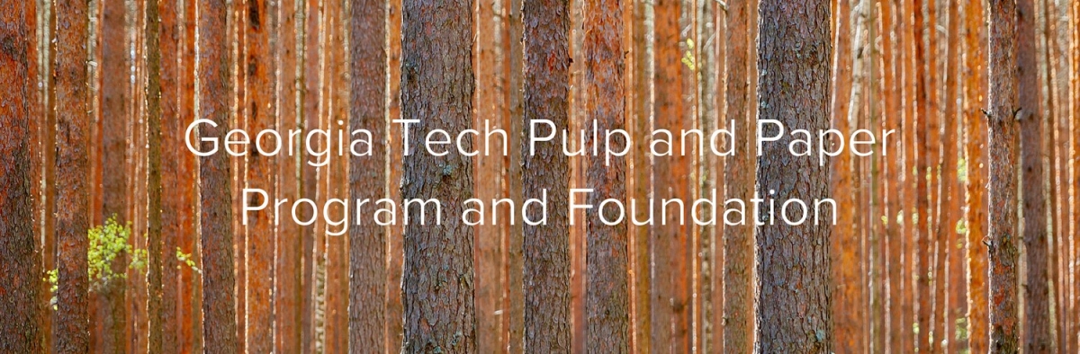 Pulp and Paper Program and Foundation