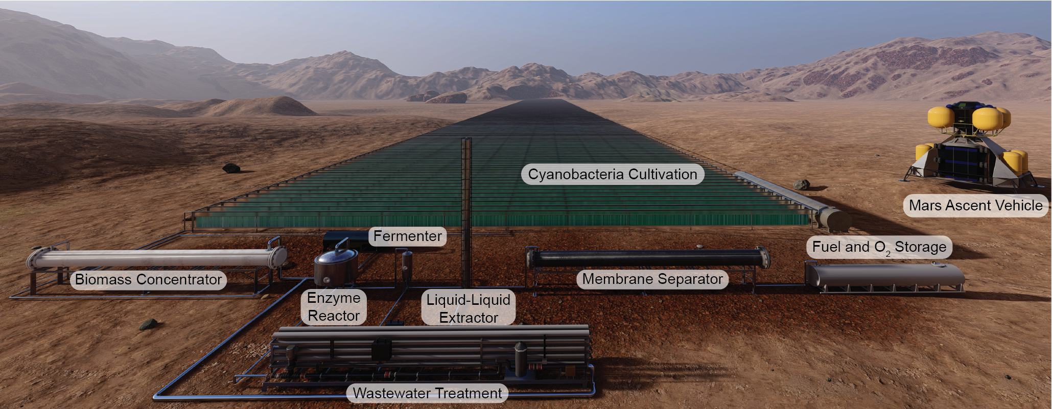 Photobioreactors the size of four football fields, covered with cyanobacteria, could produce rocket fuel on Mars. Courtesy: BOKO mobile study