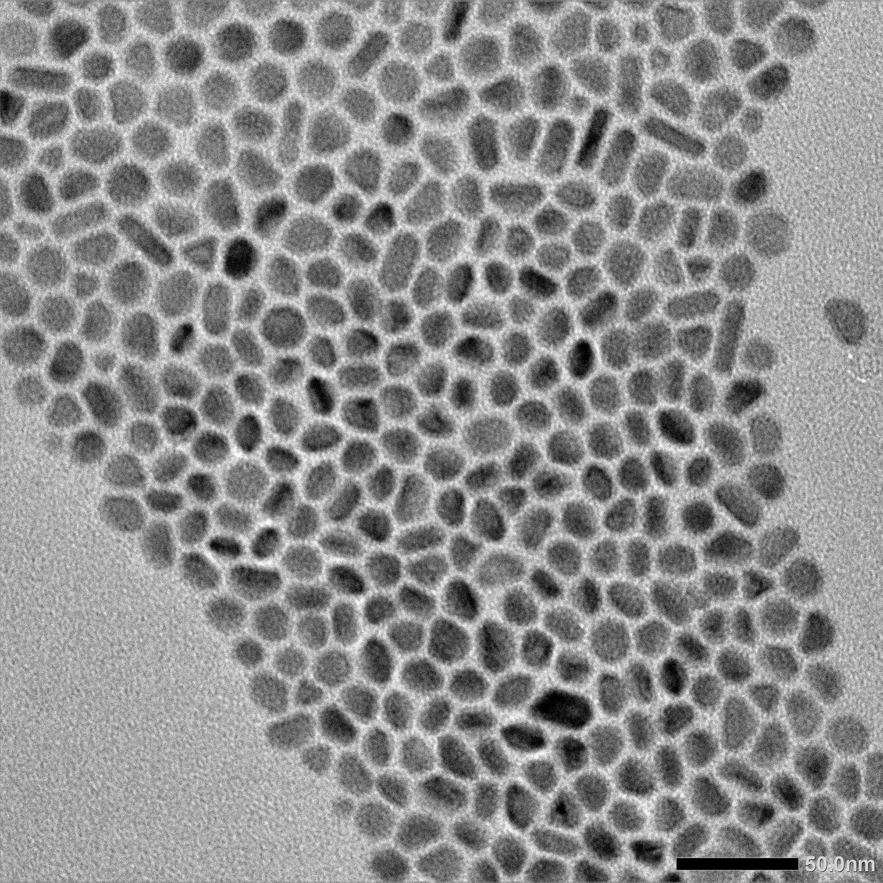 An electron microscope image shows the antimony nanoparticles used to study the spontaneous formation of nanoscale hollow electrodes for use in batteries.  (Credit: Matthew Boebinger, Georgia Tech)