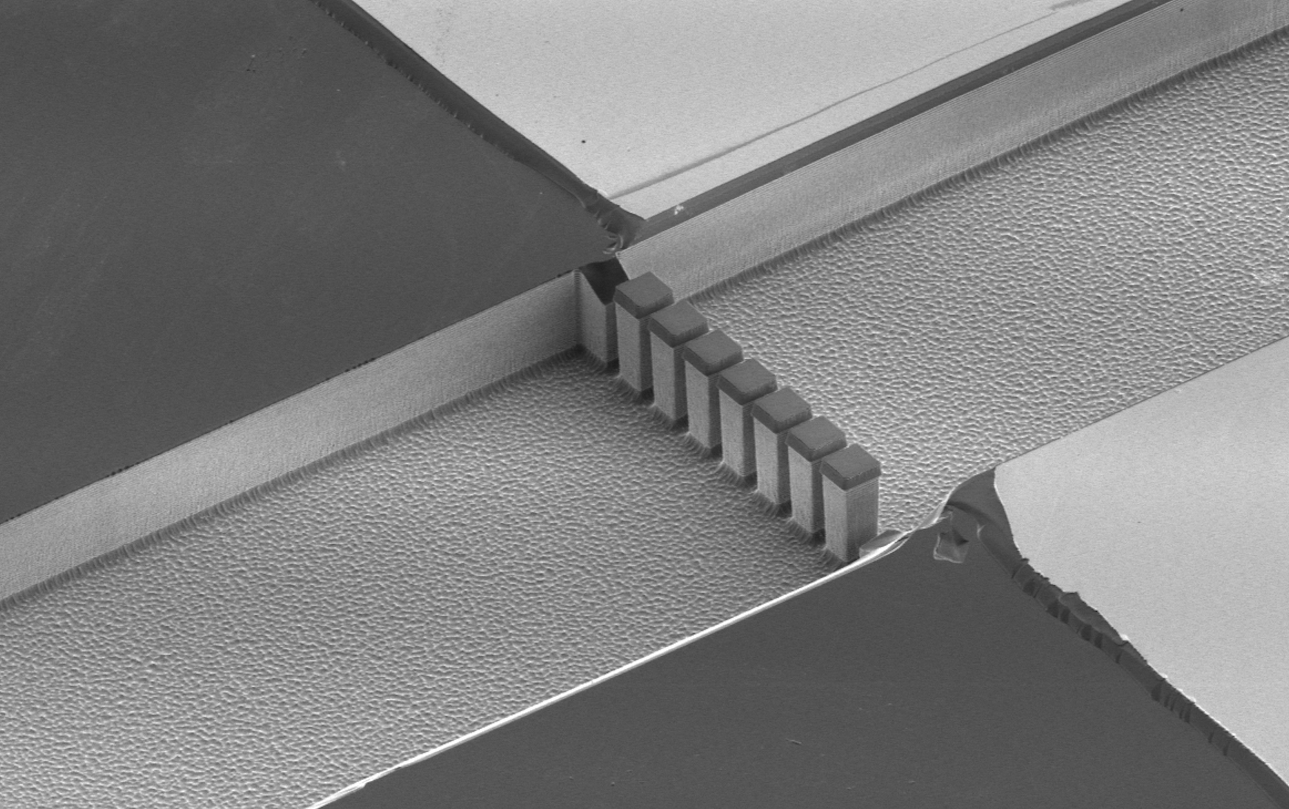 The cell immobilization features inside the cell processing device: These 30 micron tall pillars are etched into silicon with a mere three microns between each column. The cells are approximately 10 microns and can’t get through the narrow openings. More than just a filter, these features allow researchers to concentrate the cells before extracting their contents.