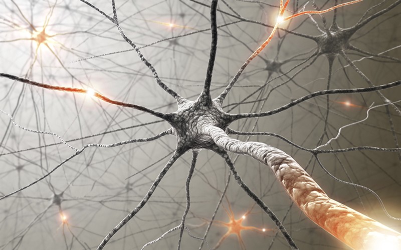 Tangled Messages: Tracing Neural Circuits to Chemotherapy&#039;s &#039;Constellation of Side Effects&#039;