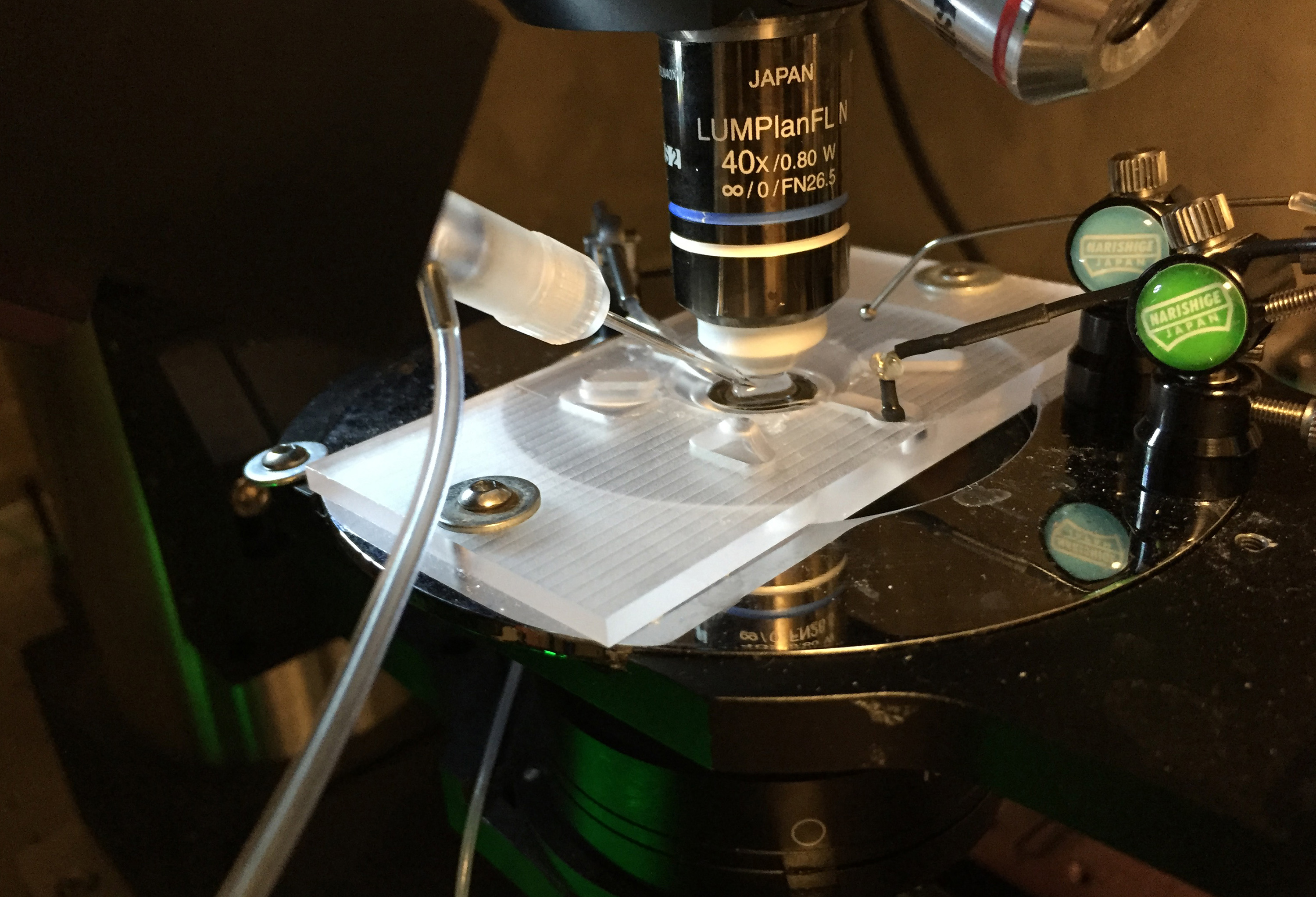 Robotic Cleaning Technique Could Automate Neuroscience Research Research