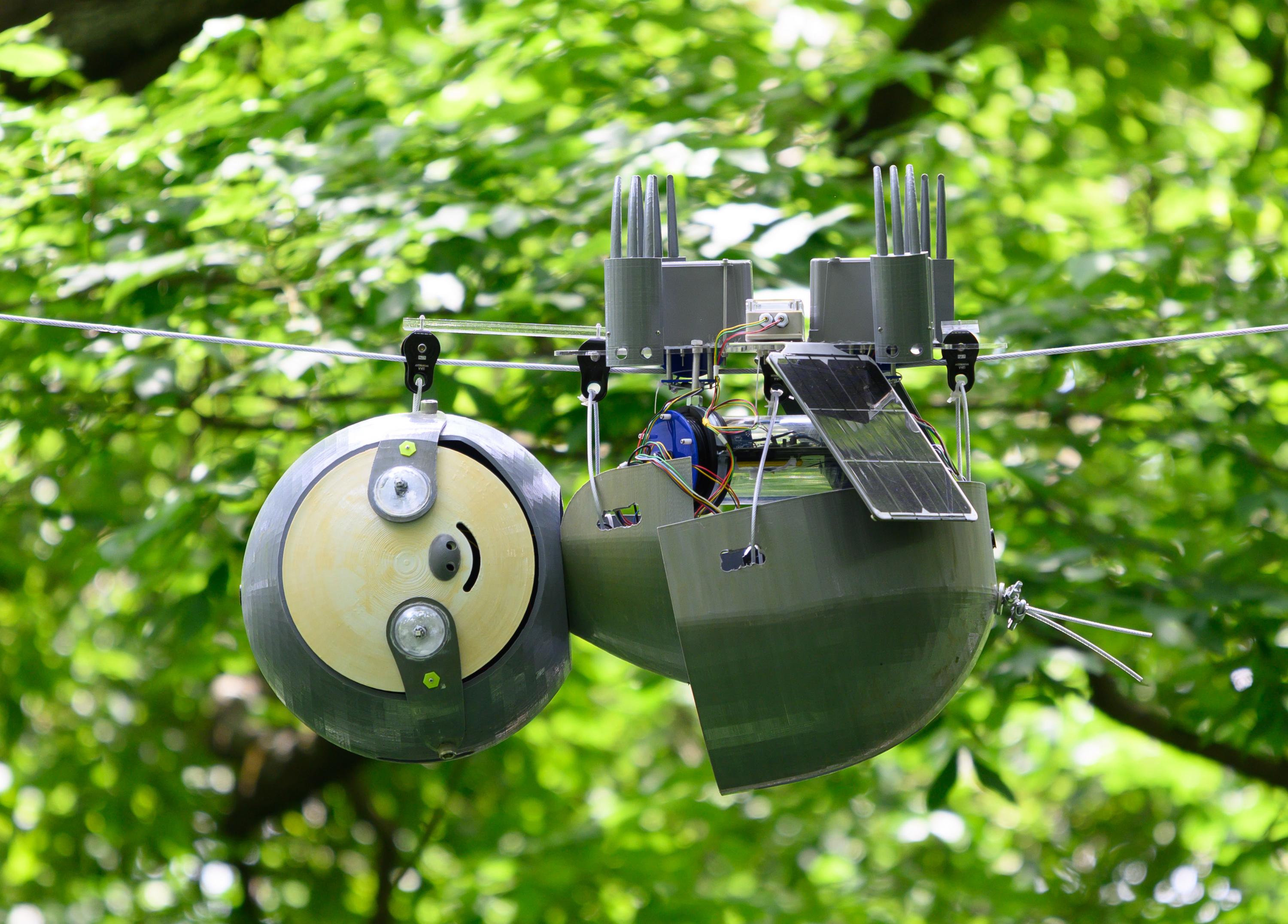 SlothBot is a slow-moving and energy-efficient robot that can linger in the trees to monitor animals, plants, and the environment below. It has been installed for testing in the Atlanta Botanical Garden. (Credit: Rob Felt, Georgia Tech)