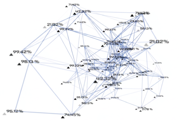 This image represents a network graph used for data visualization.