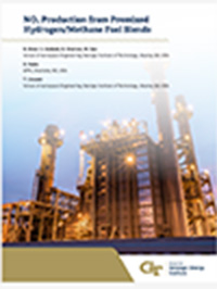 Image of cover for white paper showing power plant in the background.