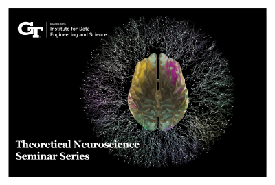 IDEas Theoretical Neuroscience Seminar Series Grapic