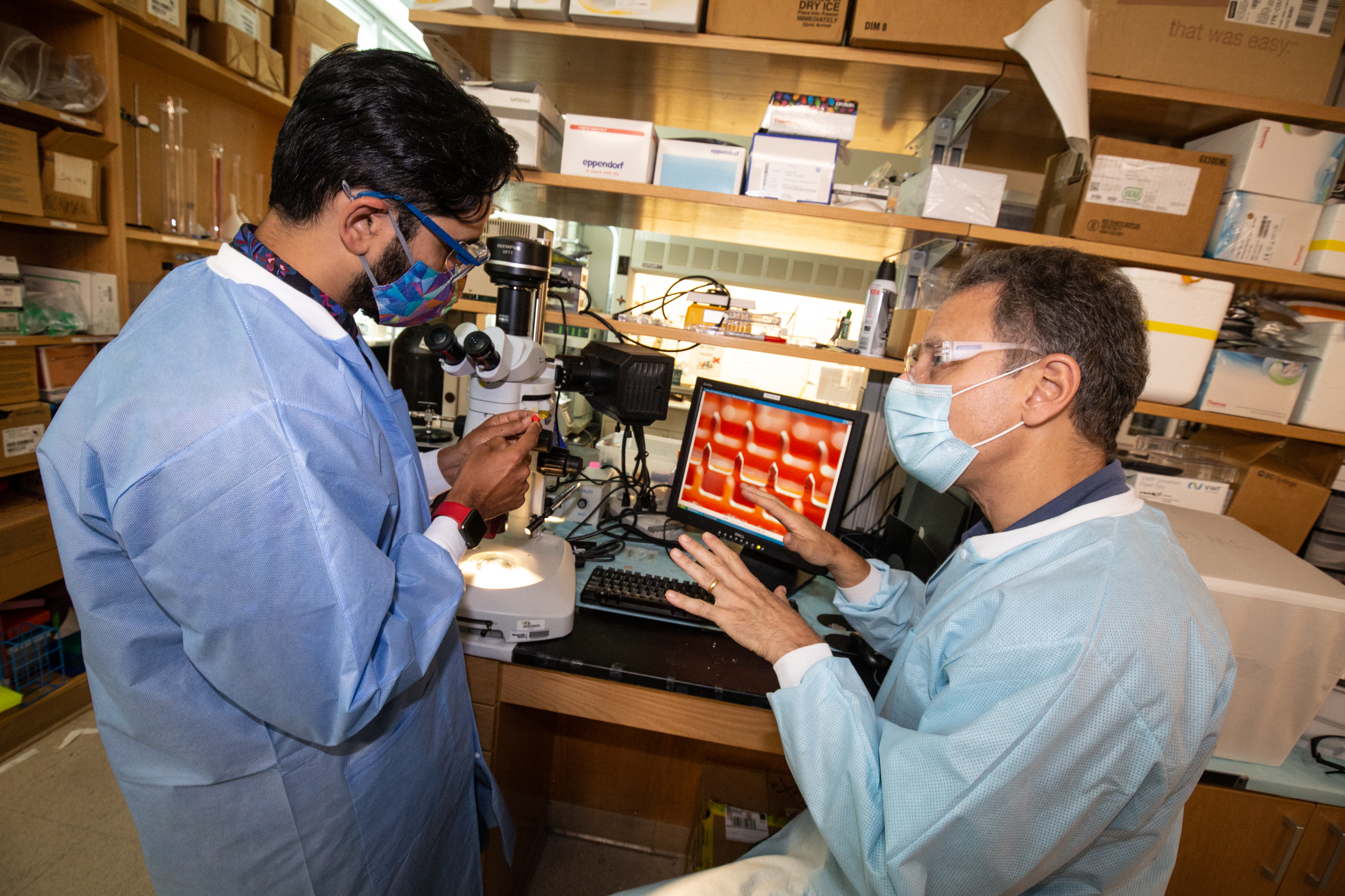 Georgia Tech researchers Saad Bhamla (left) and Mark Prausnitz (right) study the ePatch in the laboratory