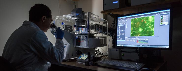 <p>Georgia Tech assistant professor Levi Wood in his lab. Wood is a mechanical engineer who researches neurological diseases. In this photo, he is working on Alzheimer's disease. Credit: Georgia Tech / Rob Felt</p>
