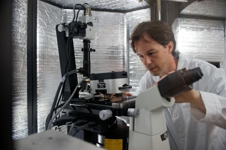 <p>Assistant Professor Todd Sulchek used a process called atomic force microscopy (AFM) to study the mechanical properties of various ovarian cell lines. A soft mechanical probe “tapped” healthy, malignant and metastatic ovarian cells to measure their stiffness.</p>