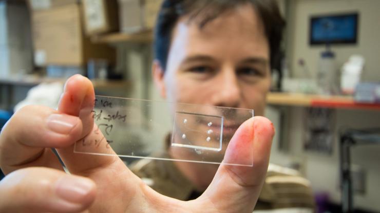 <p>Todd Sulchek is an associate professor of mechanical engineering in Georgia Tech’s George W. Woodruff School of Mechanical Engineering. He's holding a microfluidic chip designed to sort cells based on their softness. (Credit: Maxwell Guberman, Georgia Tech)</p>