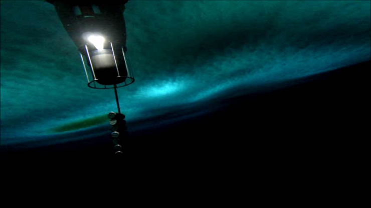 <p>The view under the Ross Ice Shelf, where water meets sea ice, captured by a GoPro camera attached to Icefin. Also visible is a weight that is deployed from Icefin to shift its center of gravity so the vehicle moves from a vertical position to horizontal. Credit: Mick West.</p>