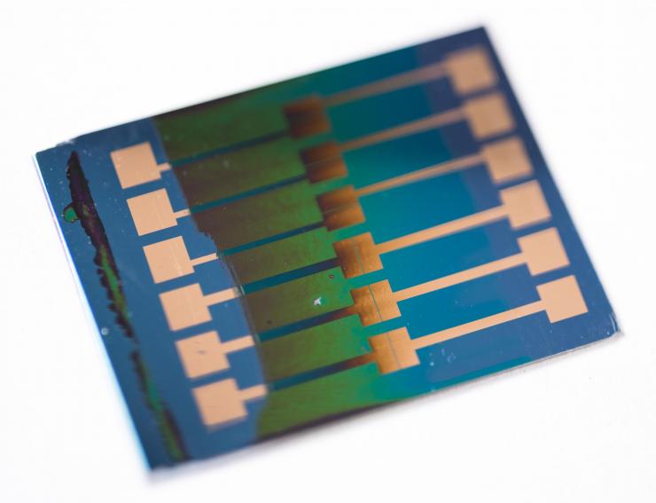 <p>Six Organic Field-Effect Transistors (OFETs) on a silicon substrate. The electronic polymer film, which appears green on the silicon, fills a micron scale channel separating gold electrodes. An external voltage can modulate the polymer's conductivity, providing a switch to turn the current across the channel on and off. Credit: Georgia Tech / Rob Felt</p>