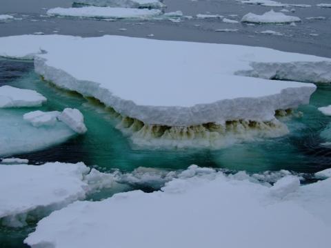 Chunks of ice with distinctive melting patterns at the water line, float in a cluster near Antarctica.