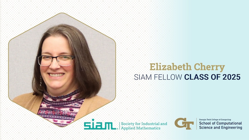 Elizabeth Cherry SIAM Fellow