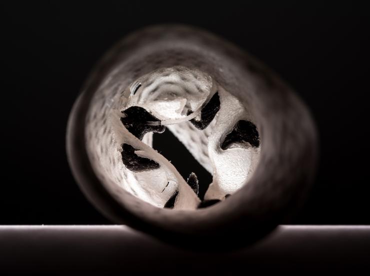 <p>Inside the 3-D printed model of a human heart valve, black regions represent the location of actual calcium deposits. (Credit: Rob Felt, Georgia Tech)</p>
