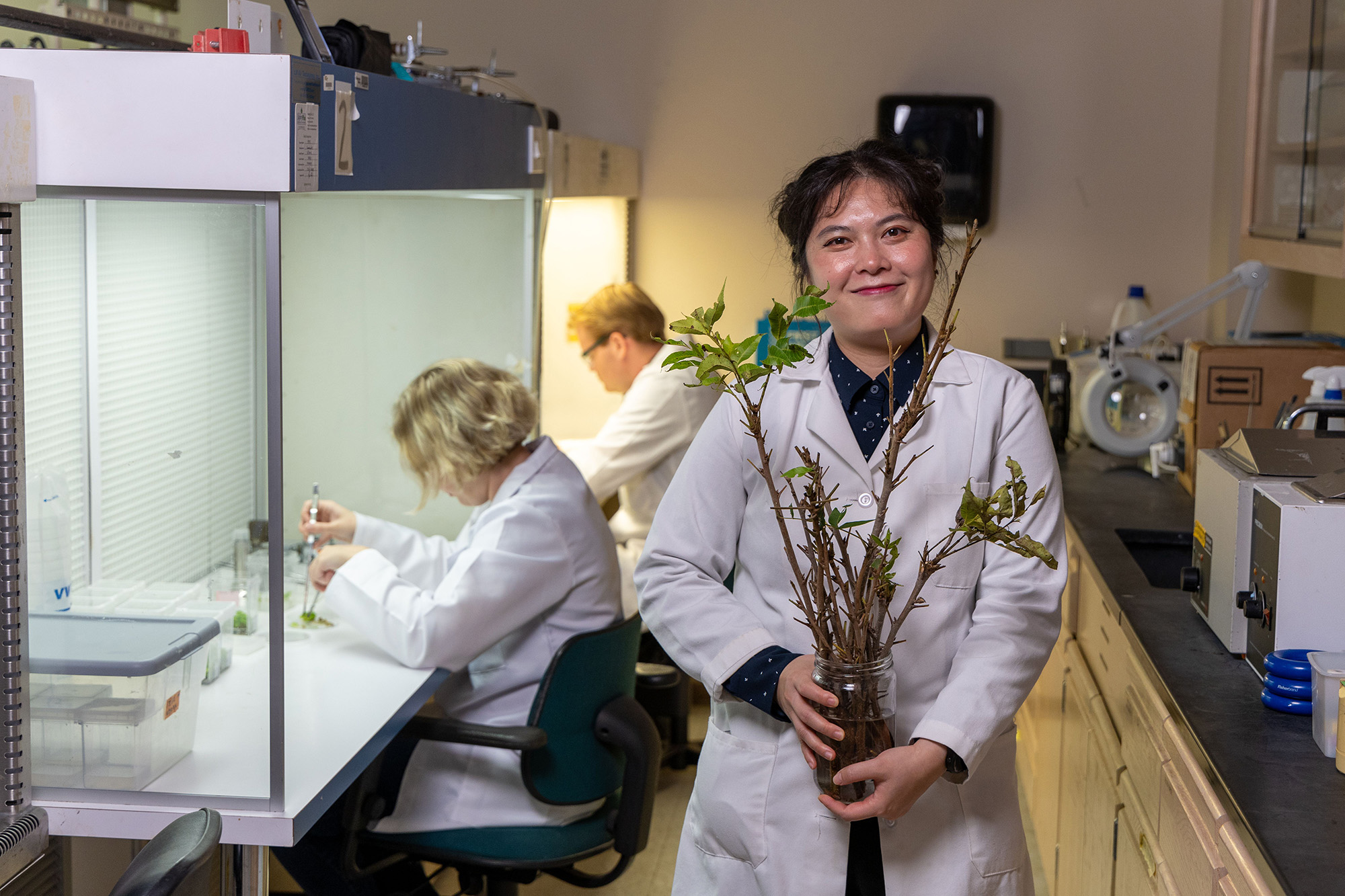 Postdoctor fellow Cuong Le holding a pecan plant