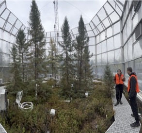 Postdoctoral Researchers Caitlin Petro and Borja Aldeguer-Riquelme inside a SPRUCE chamber in 2023.
