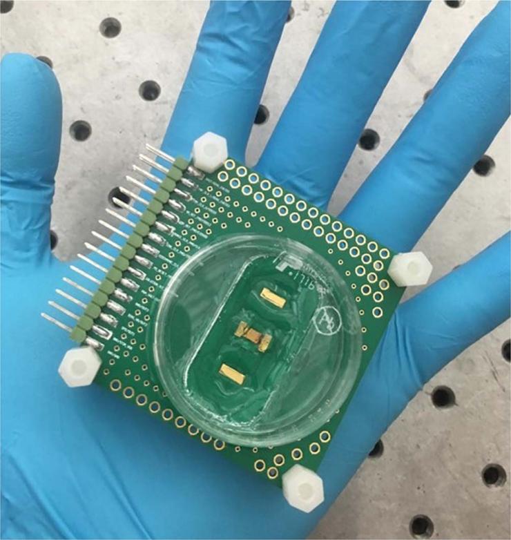 <p>Built on standard complementary metal oxide semiconductor (CMOS) technologies, the cellular sensing array chip uses a standard 35 mm cell culture dish with the bottom removed to host the cells and expose them to the sensing surface.</p>