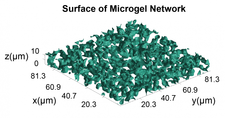 <p>MATLAB-generated isosurfaces of the microgel networks within fibrin were generated from confocal microscopy image stacks. Computational analysis of the three-dimensional networks demonstrated that the microgels formed an interconnected network at a critical volume fraction within the bulk polymer. (Credit: Alison Douglas)</p>