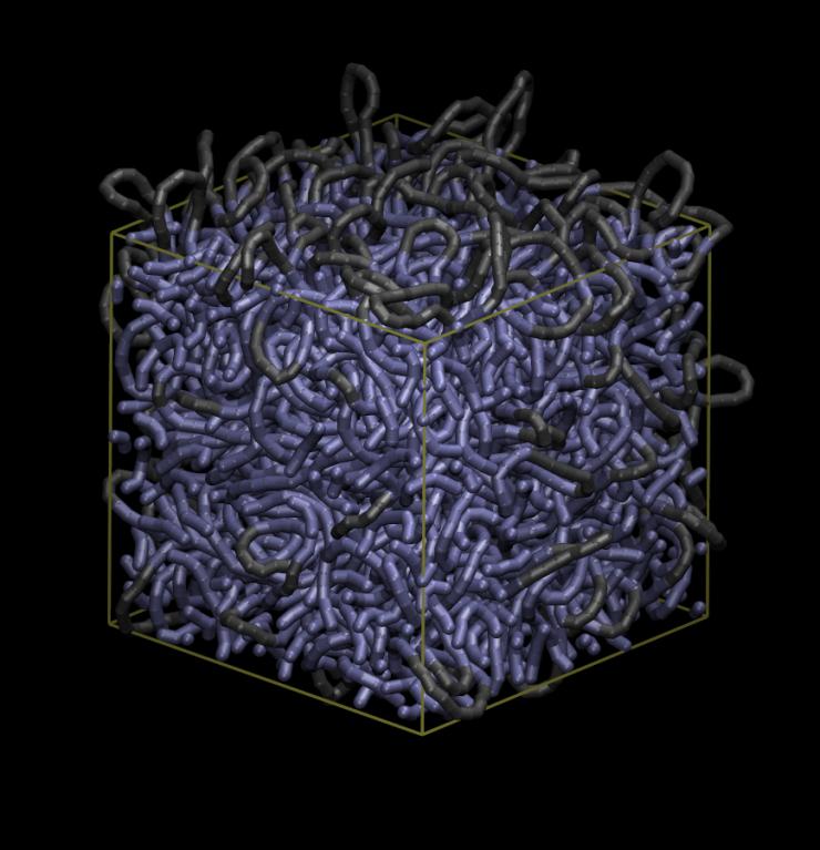 <p>Naturally occurring DNA is a thicket, but its high tension and constant motion make it shuttle large transcriptions factors through its dense windings to binding sites, where the factors go to work. Researchers back this hypothesis with a very large, unique simulation. Here, DNA is in gray, transcription factor <em>LacI</em> in green.</p>