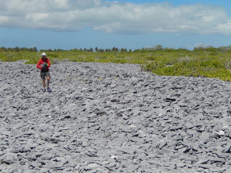 <p>Pam Grothe walks over a patch of fossil coral rubble on Kiritimati Island. Credit: Georgia Tech / Grothe / Cobb lab</p>