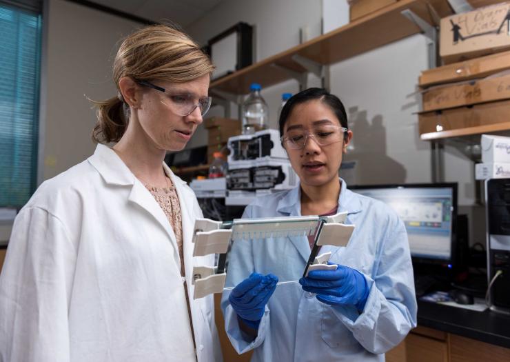 <p>Researcher Christine He shows Georgia Tech researcher Martha Grover a gel slide that separates out gene strands.</p>