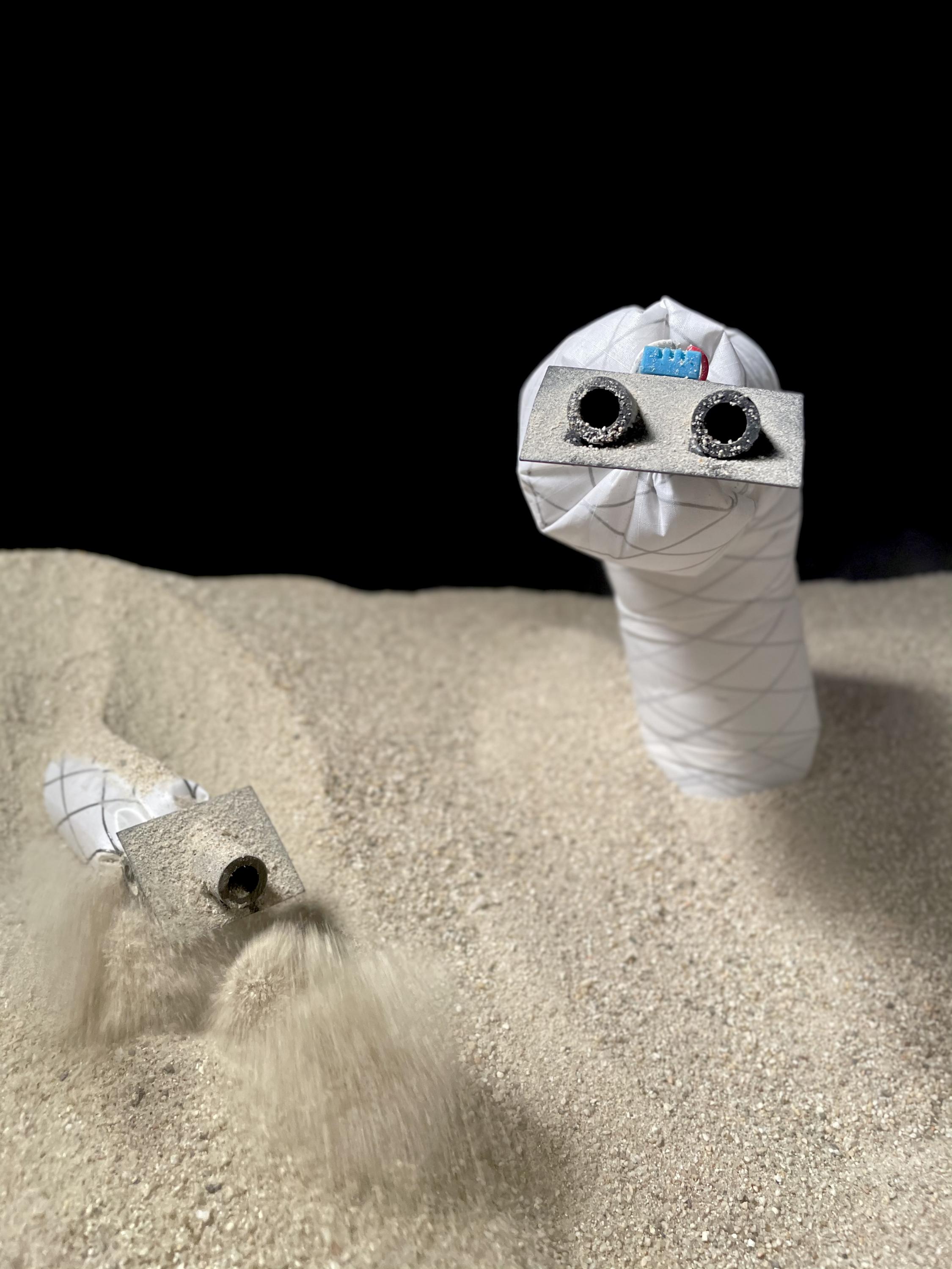 A small, exploratory, soft robot such as this has a variety of applications where shallow burrowing through dry granular media is needed, such as soil sampling, underground installation of utilities and erosion control (Photo: UC Santa Barbara)