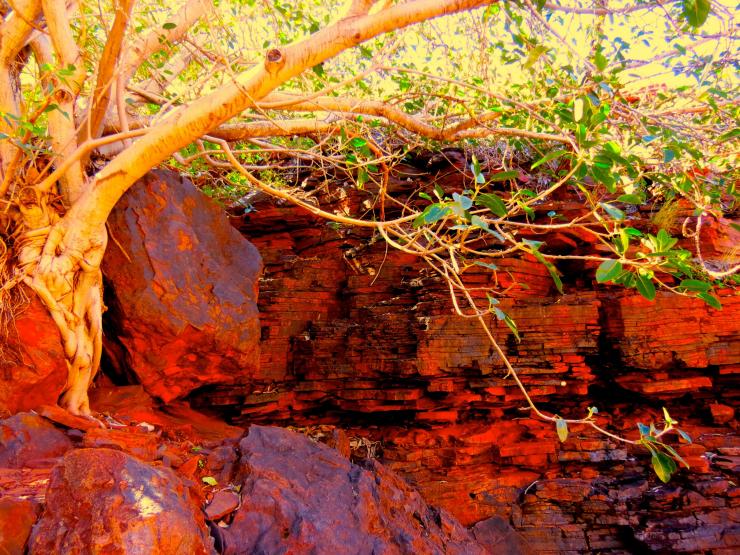 <p>This risen sea floor is red like rust. As oxygen built up in the waters, iron rusted out of solution. When it was was a plentiful in the ocean, the powerful chemical reactant that could have facilitated production of N2O (laughing gas). Karijini National Park Banded Iron Formations, Australia.</p>