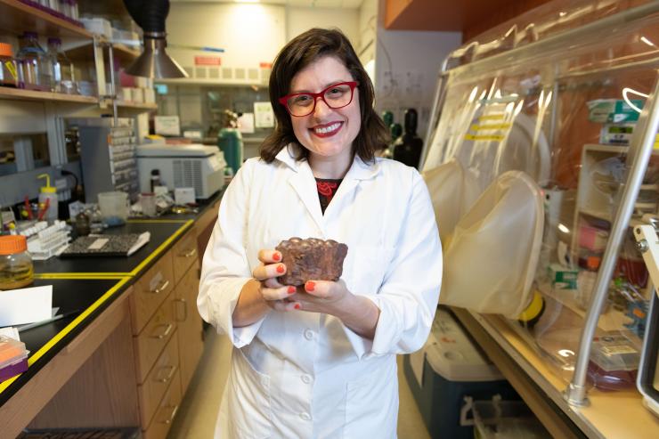 <p>Jennifer Glass in her lab at Georgia Tech. She is holding a stromatolitic ironstone full of iron that rusted out of early oceans. An eon ago, oceans appear to have been full of ferrous iron, which would have facilitated production of N2O (laughing gas). Credit: Georgia Tech / Allison Carter</p>