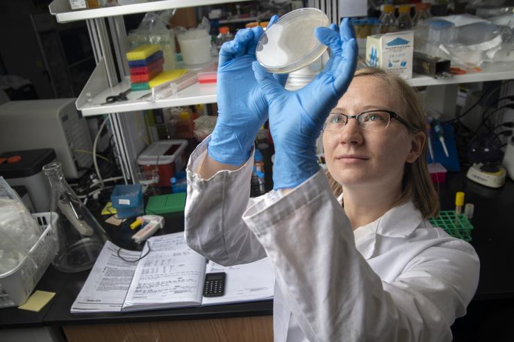 <p>Graduate research assistant Kelly Michie coauthored the study. Here, she holds up a dish with a bacteria culture. Credit: Georgia Tech / Christopher Moore</p>