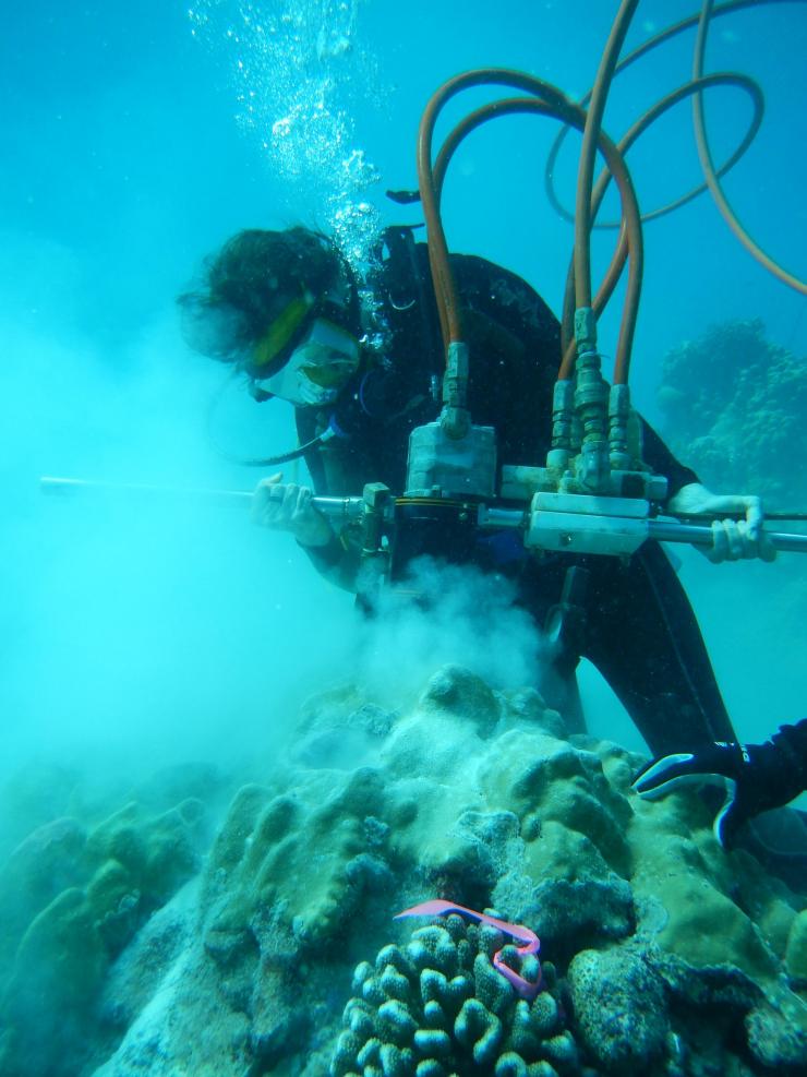 <p>In scuba gear, Georgia Tech professor Kim Cobb drills into corals in the tropical Pacific with a pneumatic coring drill to take samples for studies on recent and historic sea surface temperatures. Cobb is <a href="http://shadow.eas.gatech.edu/~kcobb/people/people.html">Georgia Power Chair and ADVANCE Professor in the Georgia Institute of Technology’s School</a> of Earth and Atmospheric Sciences. Credit: Georgia Tech / Cobb lab</p>