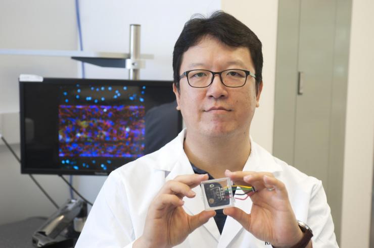 <p>Georgia Tech biomedical engineering researcher YongTae "Tony" Kim led the development of the blood-brain-barrier on a chip. Here, be is holding up a microfluidic device that mimics a microvessel from other research. Kim is the recipient of the esteemed NIH Director's New Innovator Award for his proposal on high-throughput research to tackle new possible new treatments for atherosclerosis. Kim is also developing a human-coronary-artery-on-a-chip. Credit: Georgia Tech / Christopher Moore</p>