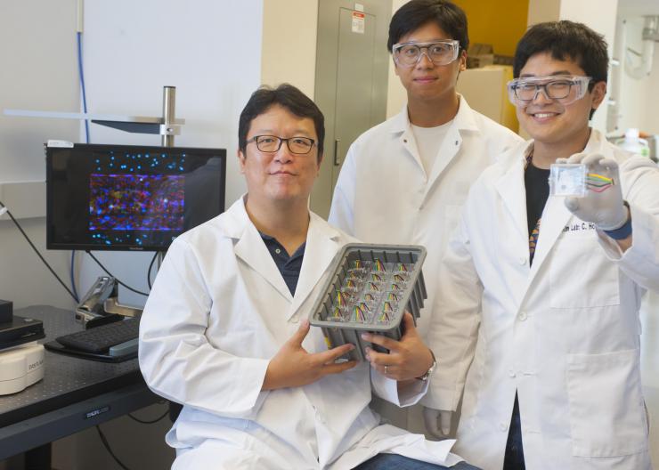 Tony Kim holds up microfluidic chips with Yom and Sei