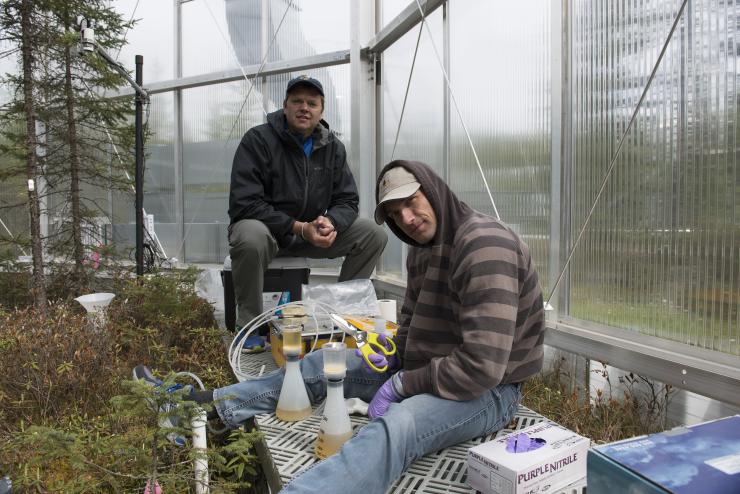 <p>Professor Joel Kostka (back) and postdoctoral assistant Max Kolton collecting water and microbial genetic samples inside an enclosure that augments the climate scenario at the SPRUCE climate change experiment in northern Minnesota. Credit: Georgia Tech / Ben Brumfield</p>