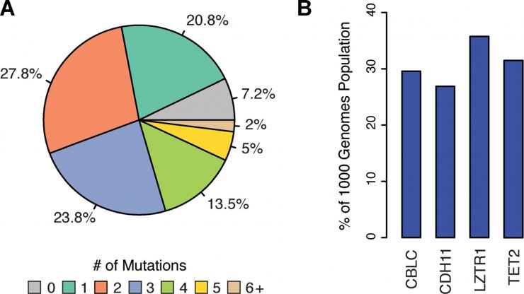 <p>(A) Pie chart depicting the percent of the 1KGP containing deleterious cancer associated mutations in at least one tumor suppressing gene (TSG.) (B) Four TSGs most frequent</p>